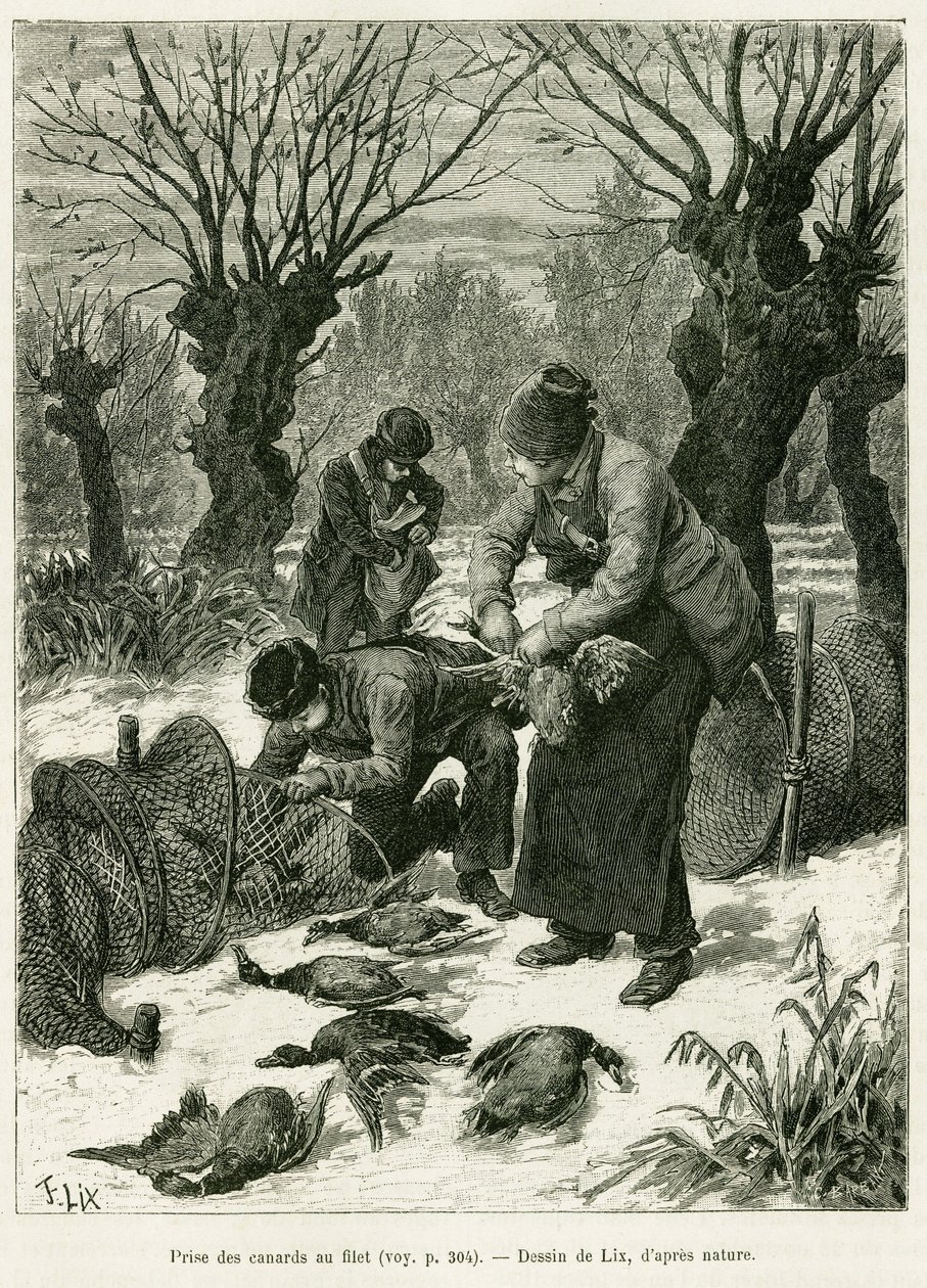 Cattura delle anatre nella rete (incisione) da Frederic Theodore Lix