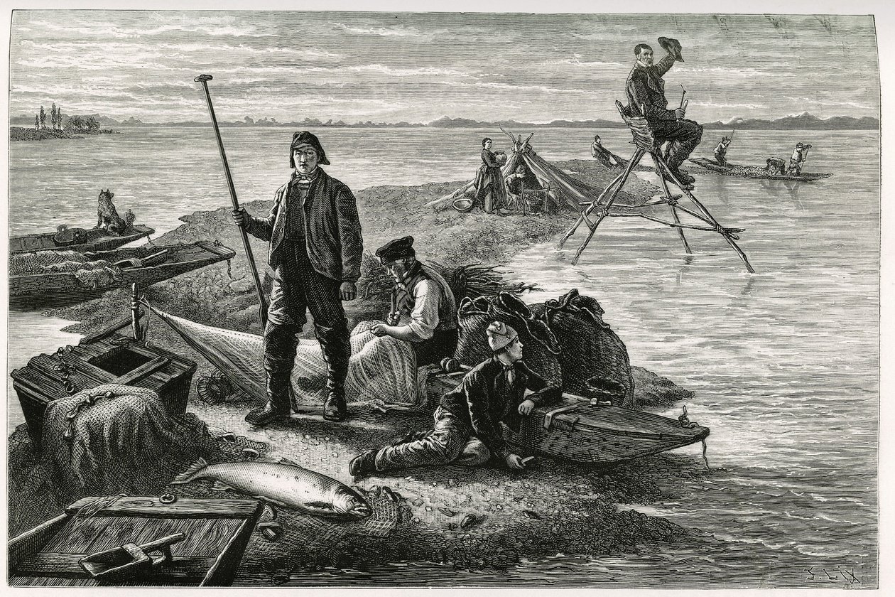 Pesca al salmone. Incisione di F.Lix, per illustrare il racconto “Attraverso l