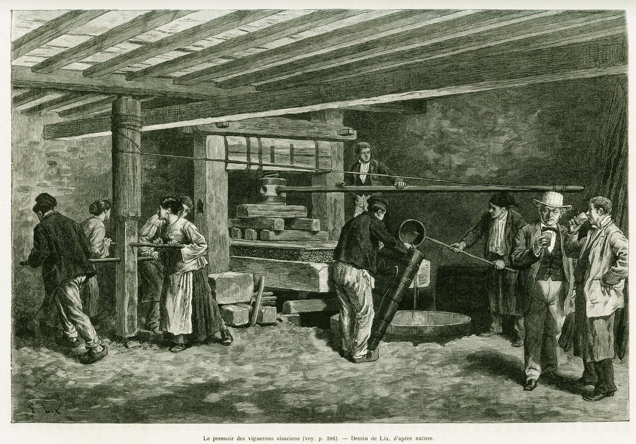 La pressa del vino dei viticoltori alsaziani (incisione) da Frederic Theodore Lix