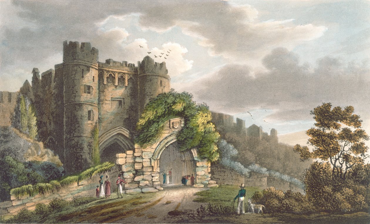 Castello di Carisbrook, da 