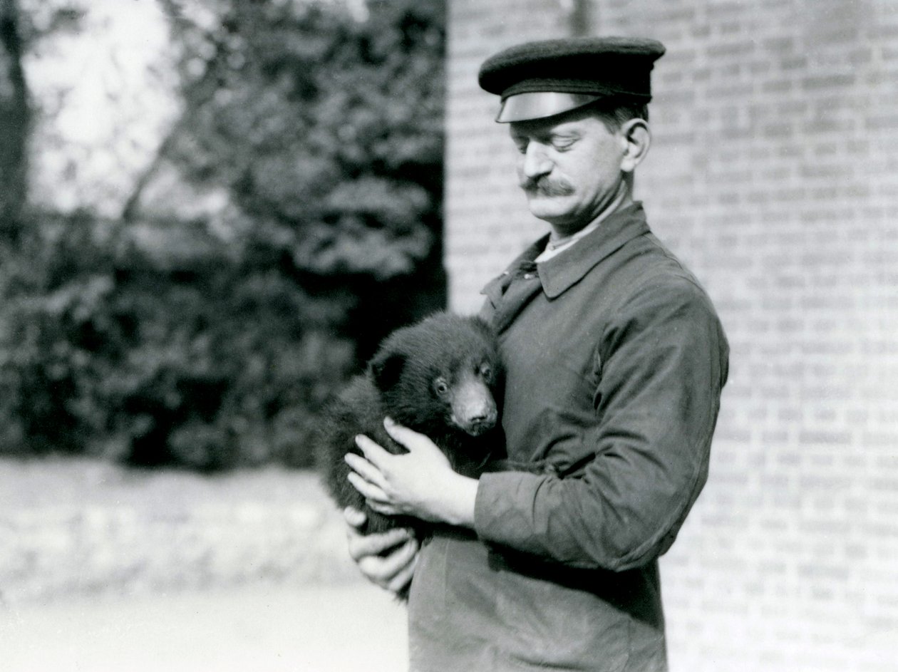 Un guardiano tiene un cucciolo di orso bradipo allo zoo di Londra, agosto 1921 da Frederick William Bond
