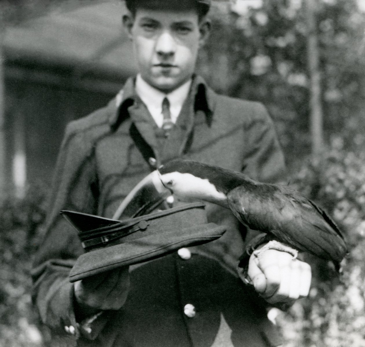 Un tucano dal becco rosso estrae un biglietto da un cappello, tenuto dal custode C. Hersey, Zoo di Londra, 1923 da Frederick William Bond