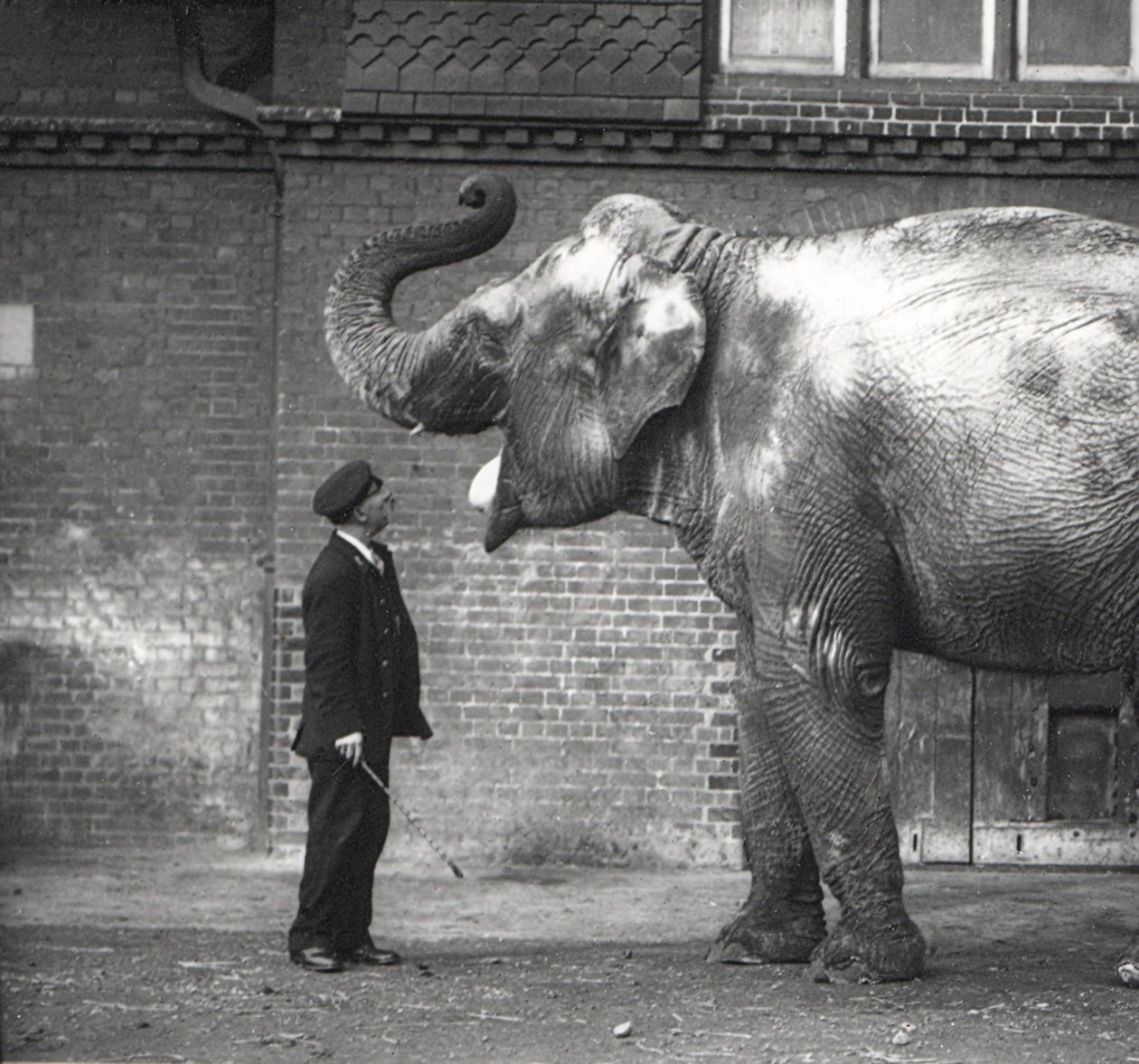 Un guardiano, Charles Eyles, con Suffa Culli (