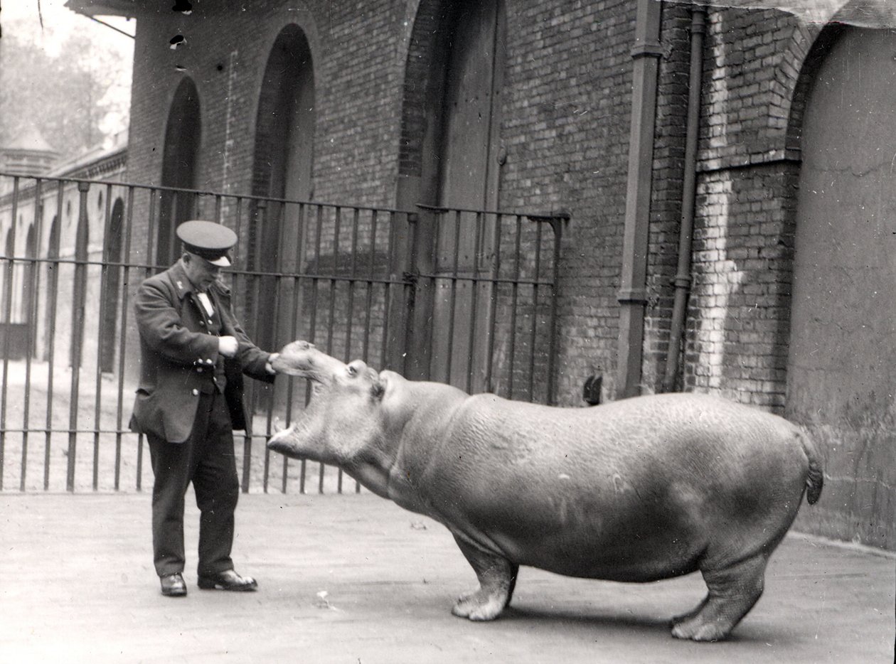 Una fotografia di Ernie Bowman e Bobbie allo Zoo di Londra, 1923 da Frederick William Bond
