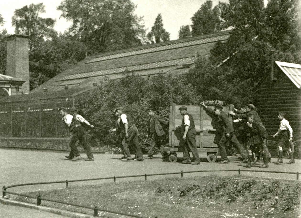Una squadra di uomini che sposta il leopardo in una cassa di legno, seguita da due ragazzi, Zoo di Londra, 1922 da Frederick William Bond