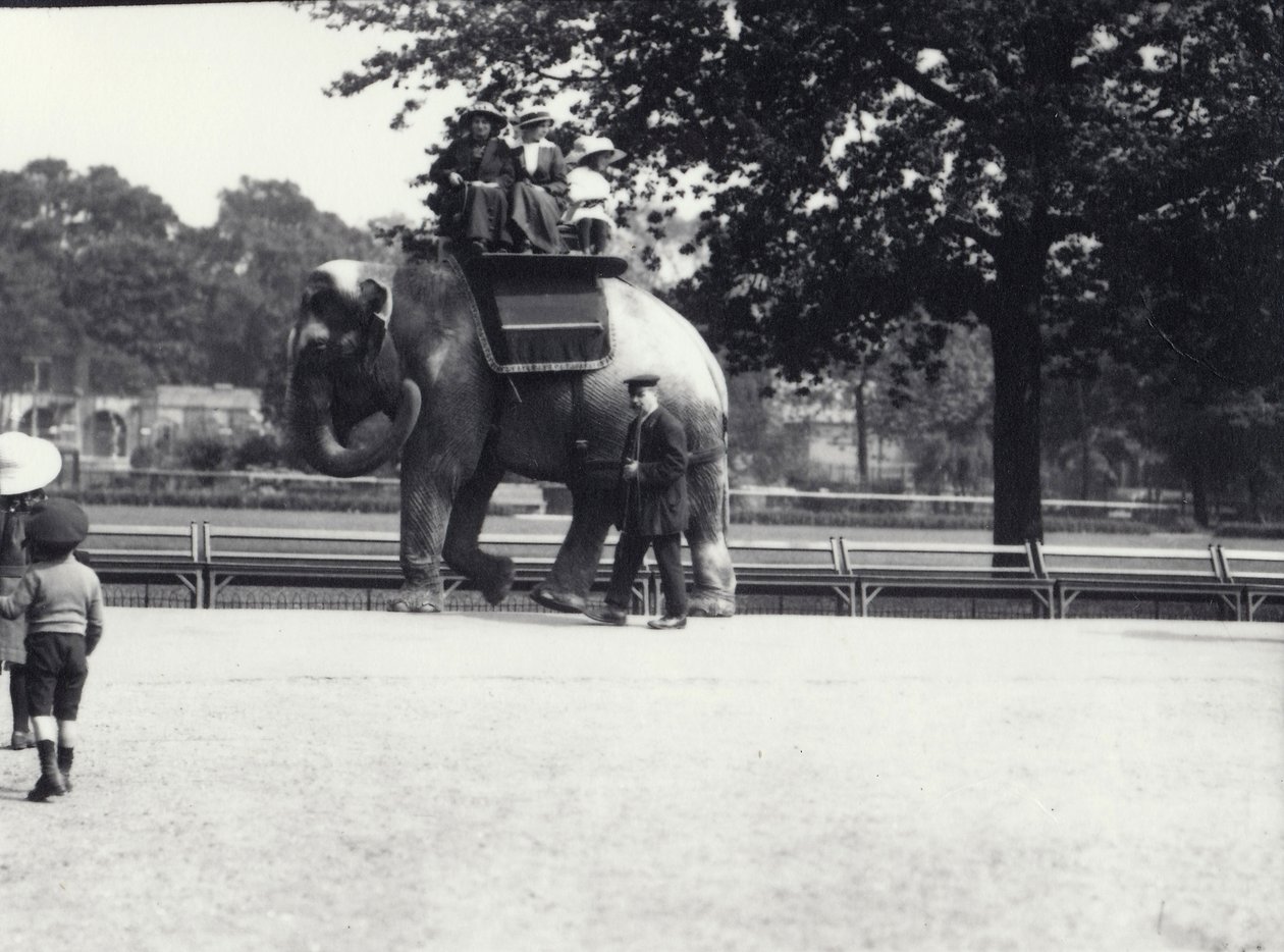 Un elefante asiatico cavalcato da due donne e una bambina, con un custode al suo fianco, Zoo di Londra, maggio 1914 da Frederick William Bond