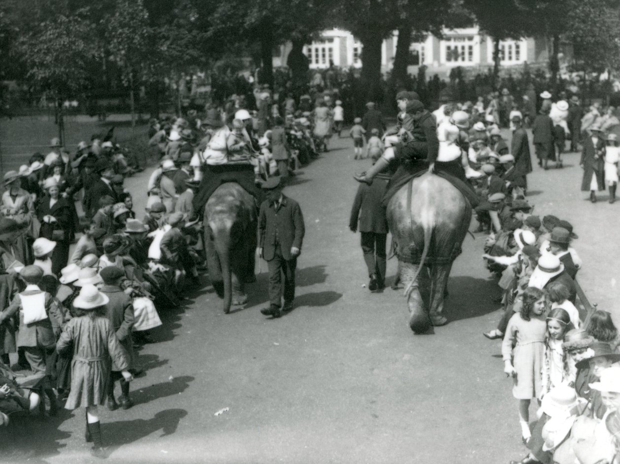 Giri in elefante asiatico con folle di spettatori al London Zoo, 1922 (foto in bianco e nero) da Frederick William Bond