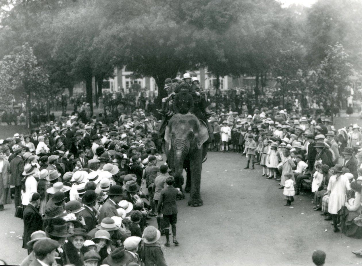 Folle di visitatori guardano un giro in elefante allo Zoo di Londra, vacanza di agosto, 1922 da Frederick William Bond
