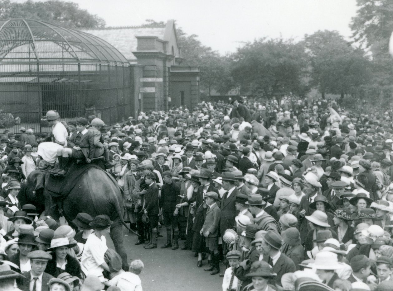 Folle di visitatori guardano un giro in elefante allo Zoo di Londra, vacanza di agosto, 1922 da Frederick William Bond