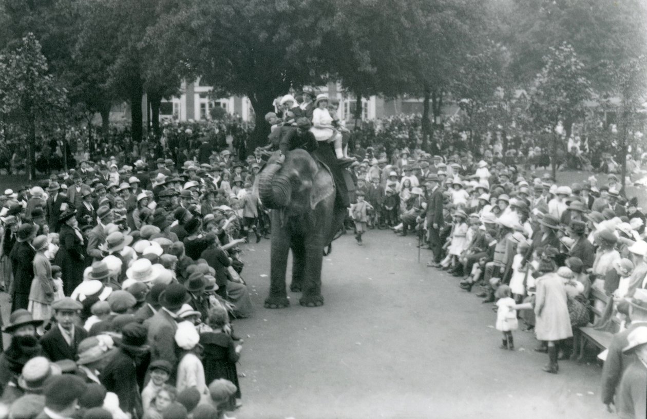 Folle di visitatori guardano un giro in elefante allo zoo di Londra, vacanza di agosto, 1922 da Frederick William Bond