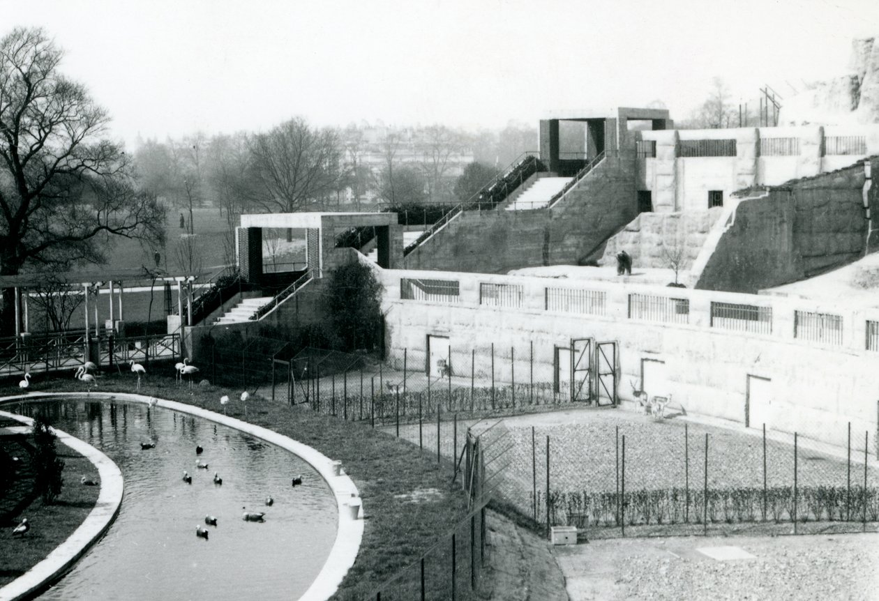Recinti davanti alle Mappin Terraces, London Zoo, 1922 da Frederick William Bond