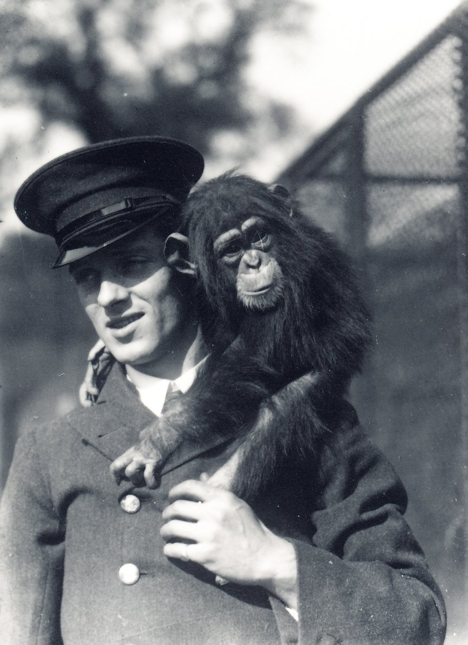 Il guardiano F. Shelly con lo scimpanzé Johnnie o Marco allo zoo di Londra da Frederick William Bond
