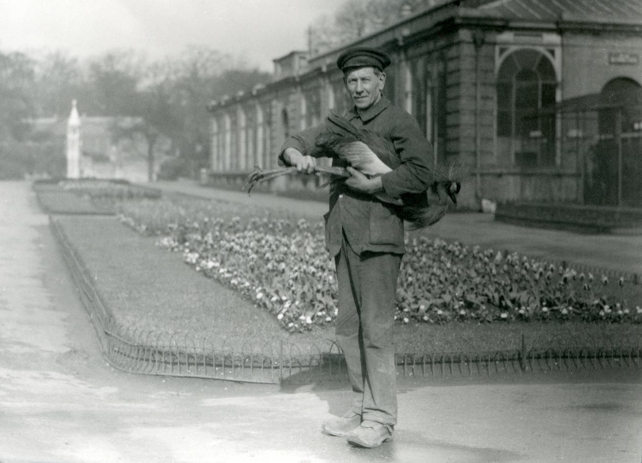 Il custode G. Blore che porta una gru coronata grigia, Zoo di Londra, maggio 1923 da Frederick William Bond