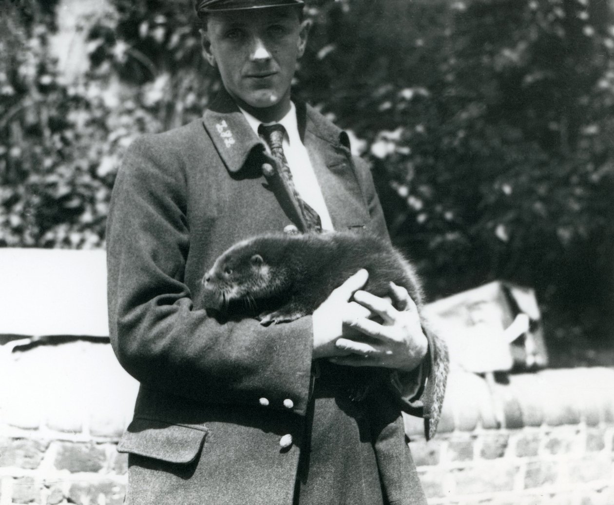 Il Custode Leslie Martin Flewin Culla un Cucciolo di Lontra tra le Braccia allo Zoo di Londra, Giugno 1922 da Frederick William Bond