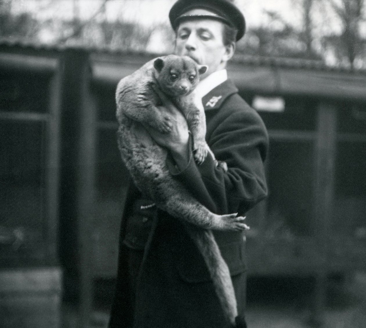Keeper, Leslie Martin Flewin, con un Kinkajou allo Zoo di Londra, febbraio 1913 da Frederick William Bond
