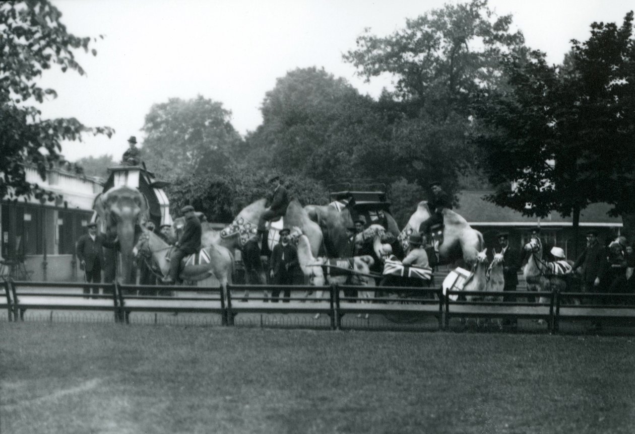 Animali da cavalcare adornati per le celebrazioni del Giorno della Pace, 19 luglio 1919 da Frederick William Bond