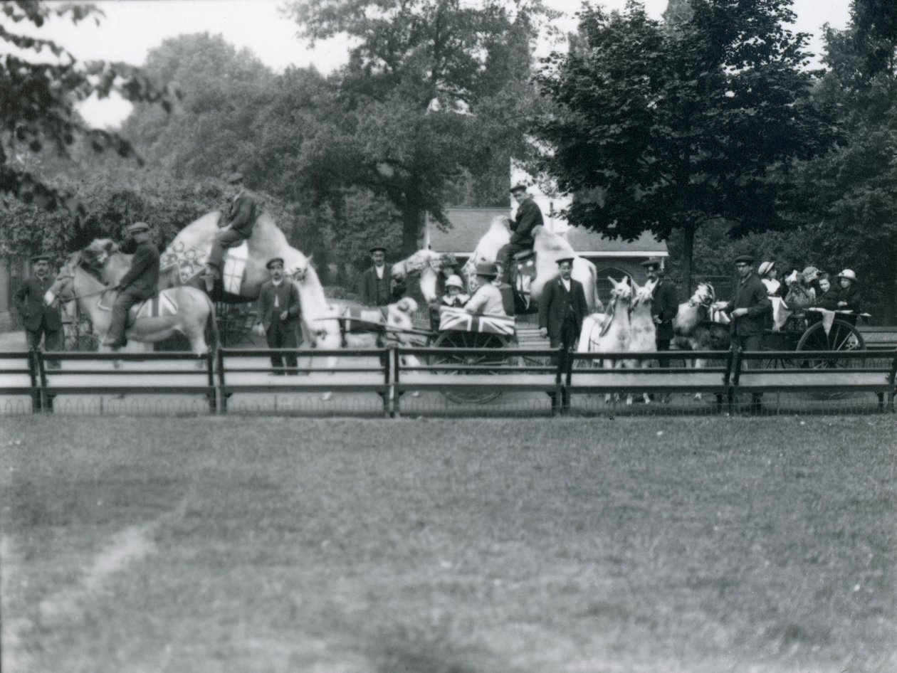 Animali cavalcati adornati per le celebrazioni del Giorno della Pace, 19 luglio 1919 da Frederick William Bond