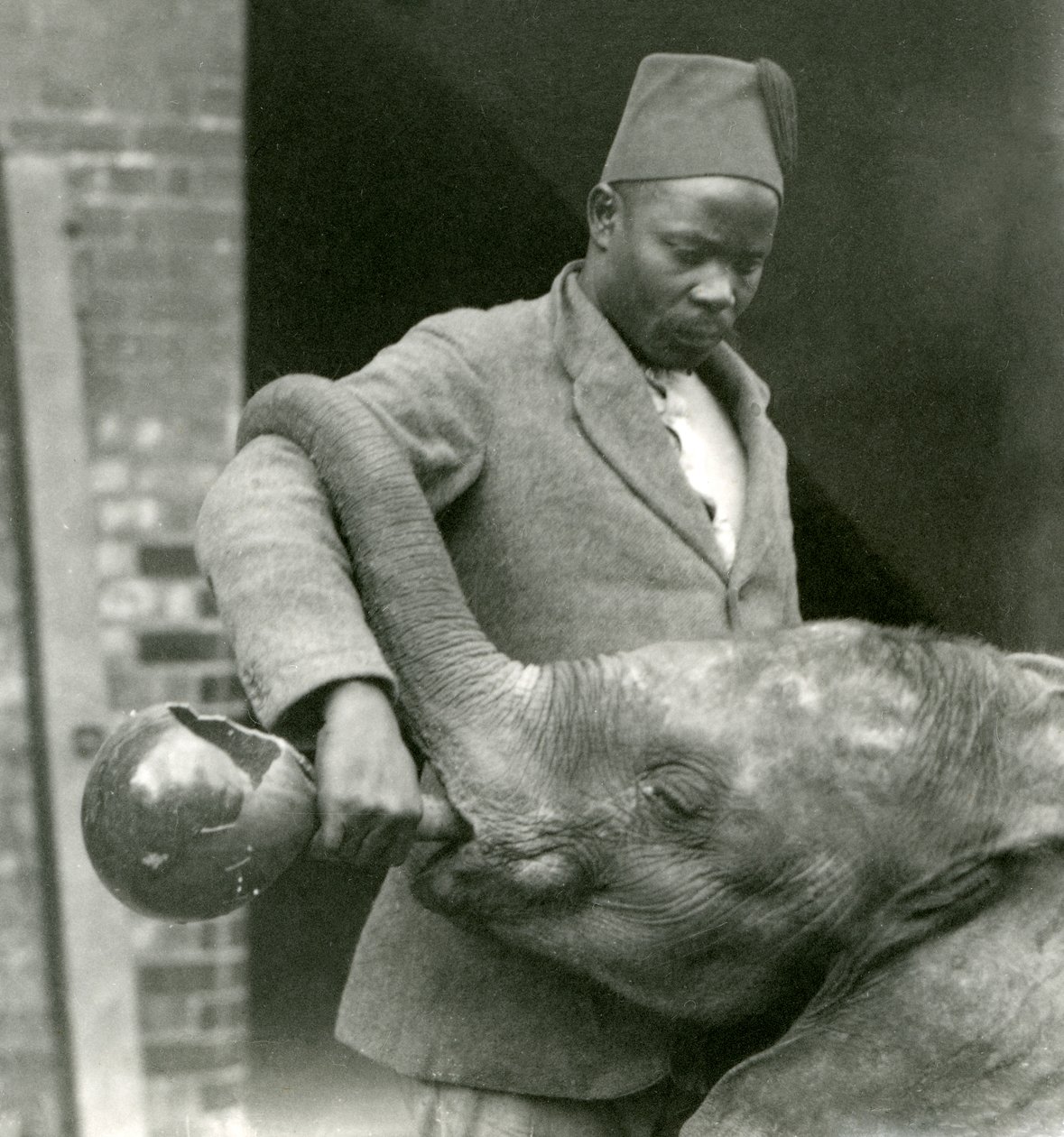 Giovane elefante africano Kiberenge che beve con Darisha mentre Syed Ali osserva sullo sfondo, Zoo di Londra, settembre 1923 da Frederick William Bond