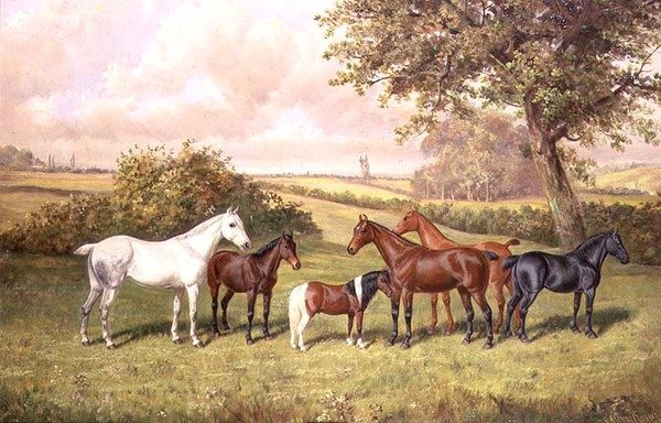 Un Gruppo di Pony da Frederick Albert Clark