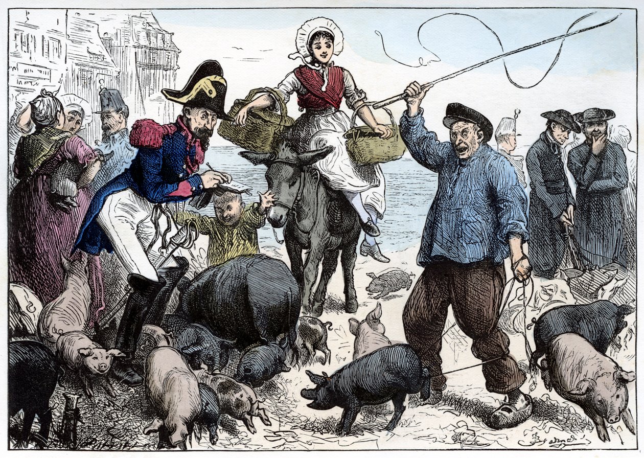 Mercato dei maiali, Boulogne da Frederick Barnard