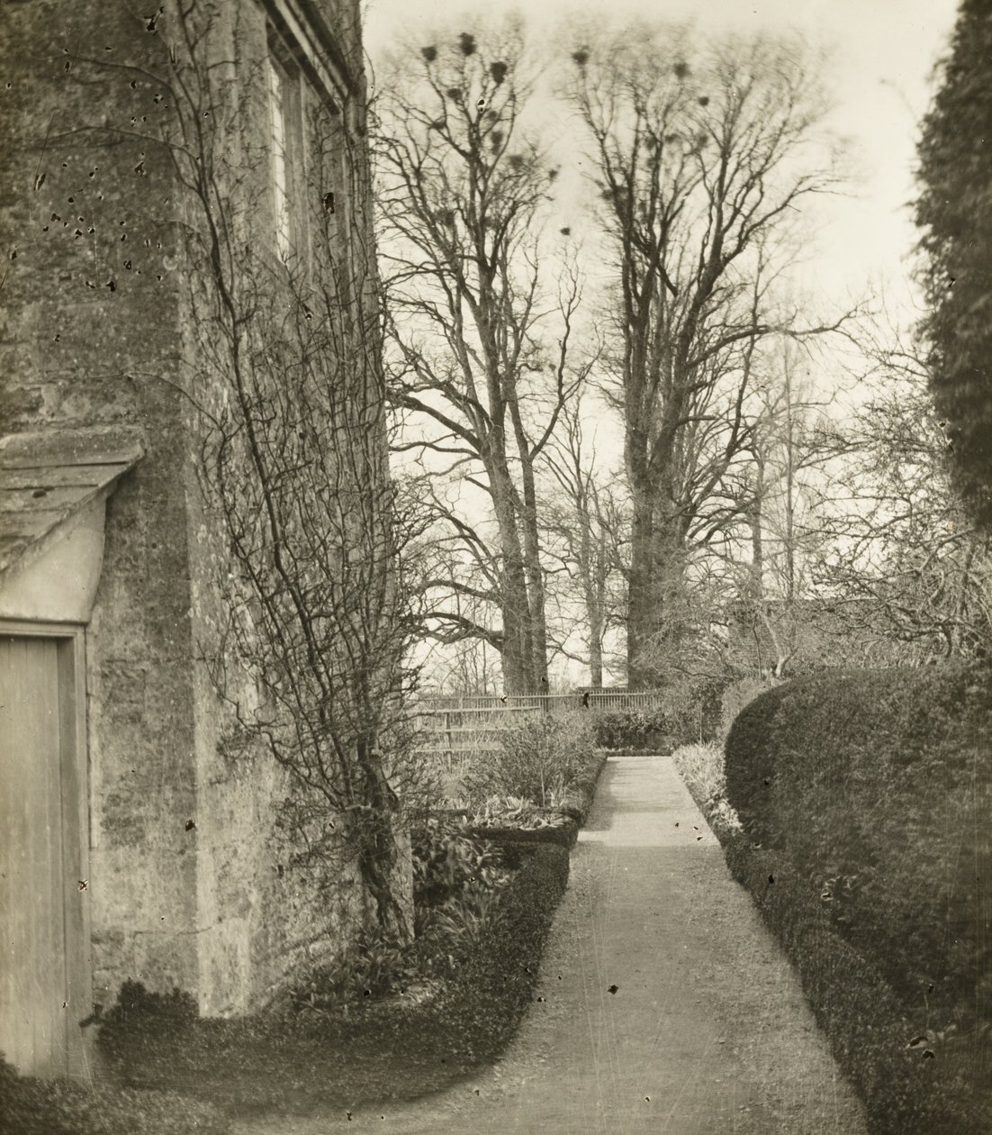 Kelmscott Manor: Nel giardino da Frederick H. Evans