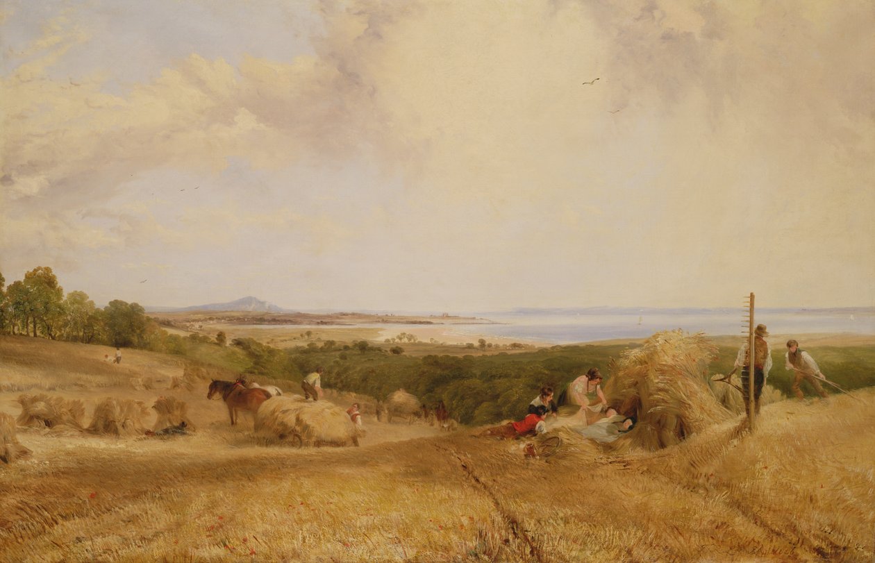 Il campo di raccolta, 1846 da Frederick Richard Lee