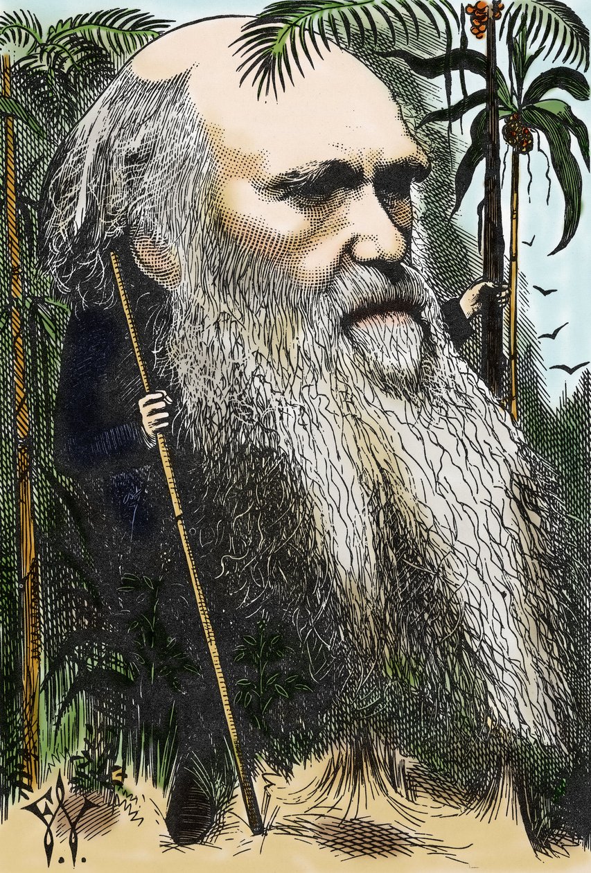 Charles Darwin (1809-1882) caricatura di F. Waddy in 