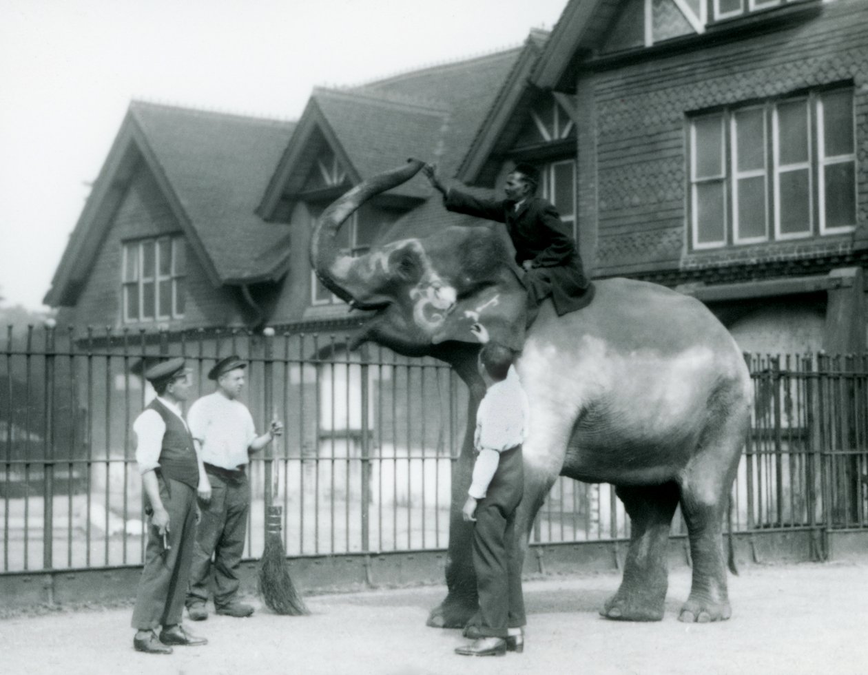 Un elefante indiano decorato, con tre guardiani e un addestratore, fuori dalla Casa degli Elefanti allo Zoo di Londra nel 1927 da Frederick William Bond