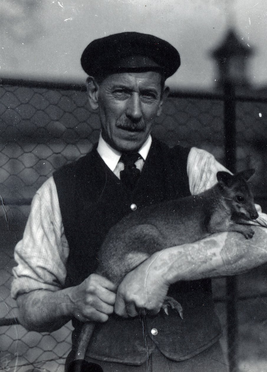 Un guardiano tiene un wallaby, ottobre 1920 da Frederick William Bond