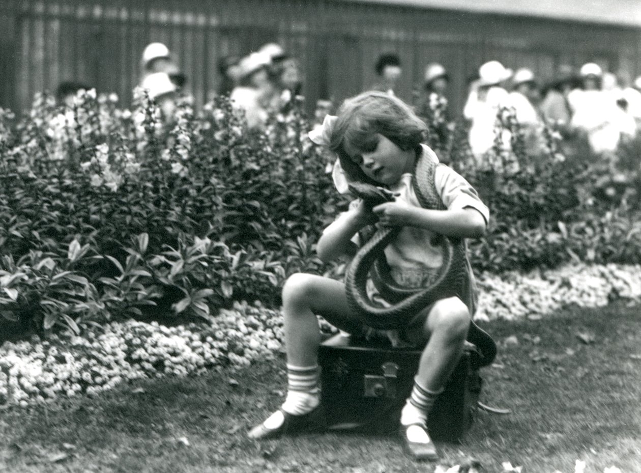 Una giovane ragazza Betty che tiene un serpente indaco orientale, seduta su un baule di pelle, Zoo di Londra, 1924 da Frederick William Bond