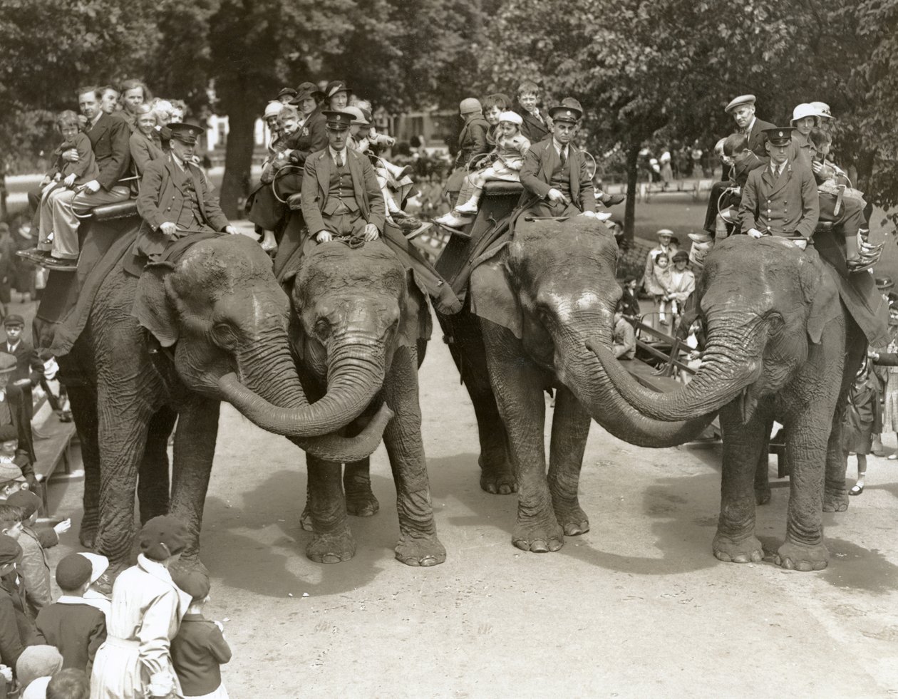 Giri in elefante allo zoo di Londra, luglio 1936 da Frederick William Bond