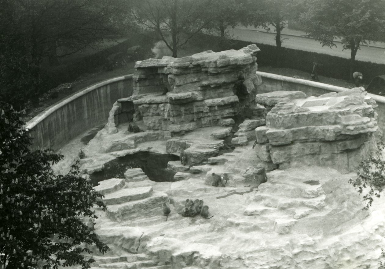 Collina delle Scimmie vista dalla cima delle Terrazze Mappin, Zoo di Londra da Frederick William Bond