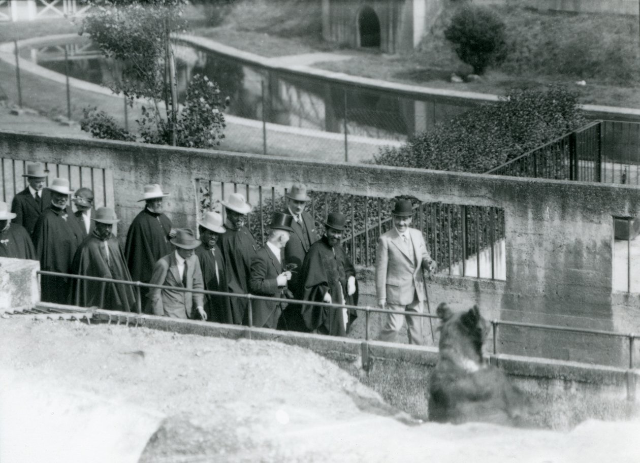 Sir Peter Chalmers Mitchell, con il reggente etiope Haile Selassie e il suo entourage, osservando un orso bruno sulle terrazze Mappin, Zoo di Londra, 1924 da Frederick William Bond