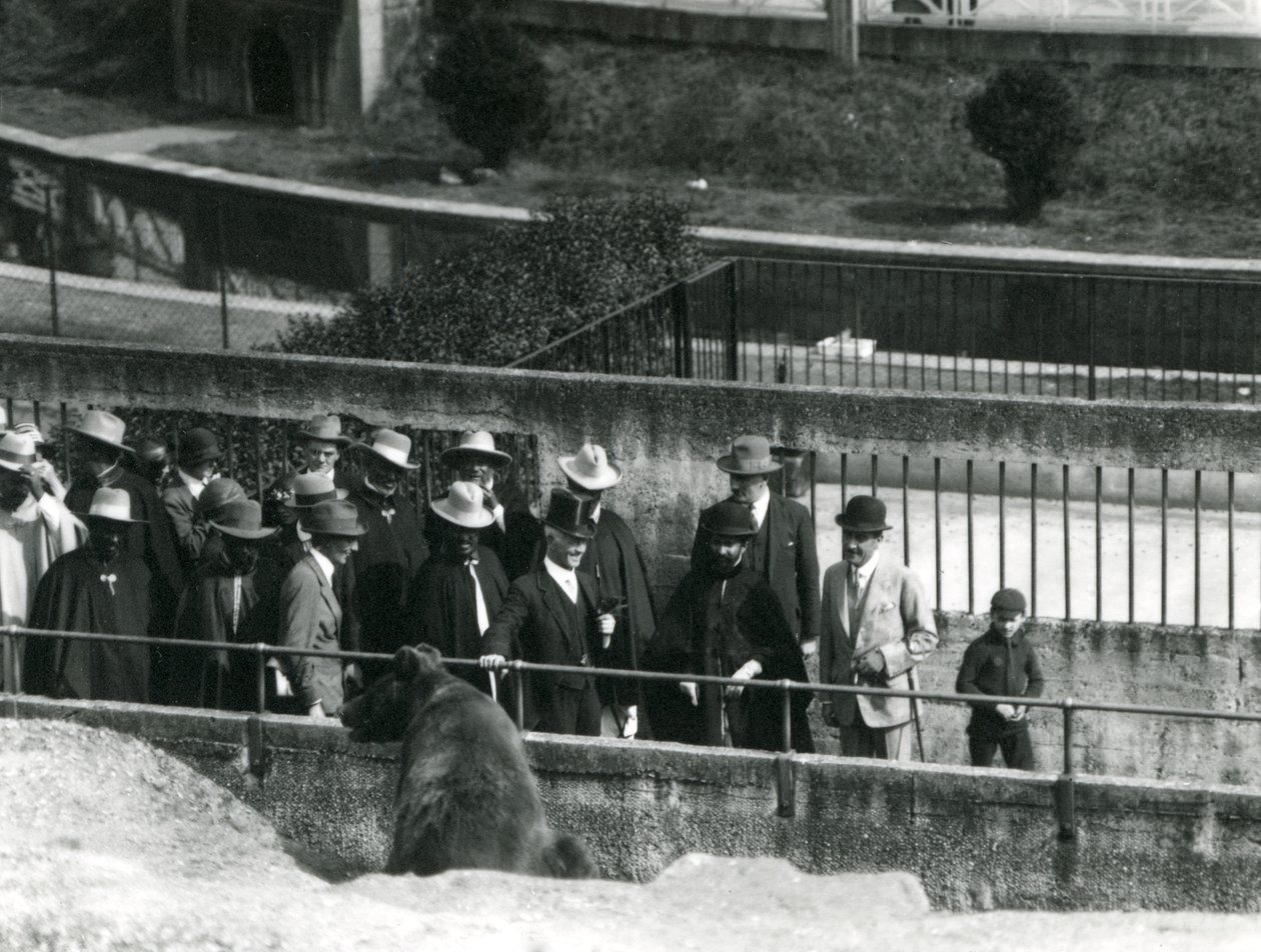 Sir Peter Chalmers Mitchell, con il reggente etiope Haile Selassie e il suo entourage, osservando un orso bruno sulle terrazze Mappin, Zoo di Londra, 1924 da Frederick William Bond