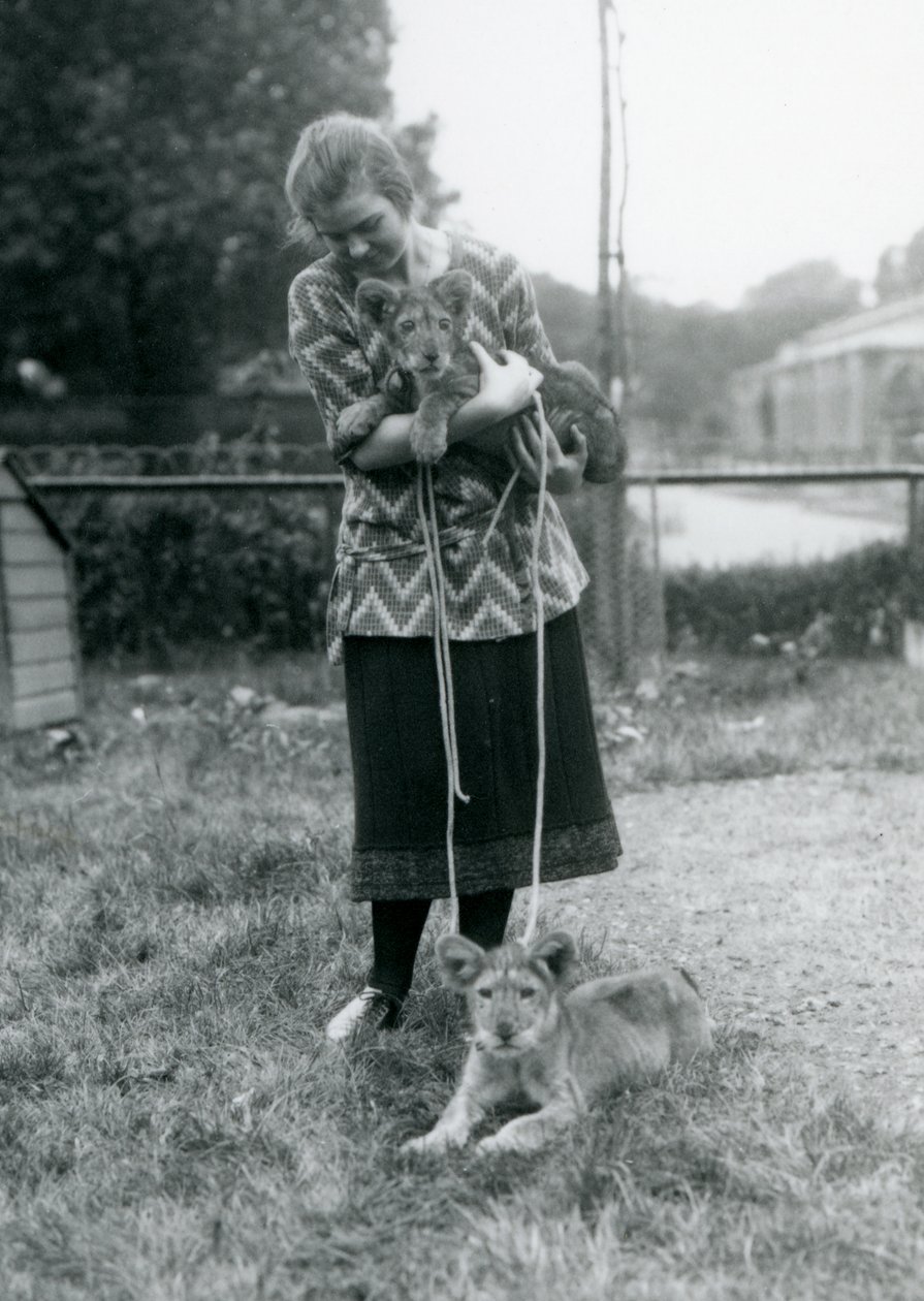 Due cuccioli di leone con una giovane donna allo Zoo di Londra, agosto 1925 da Frederick William Bond