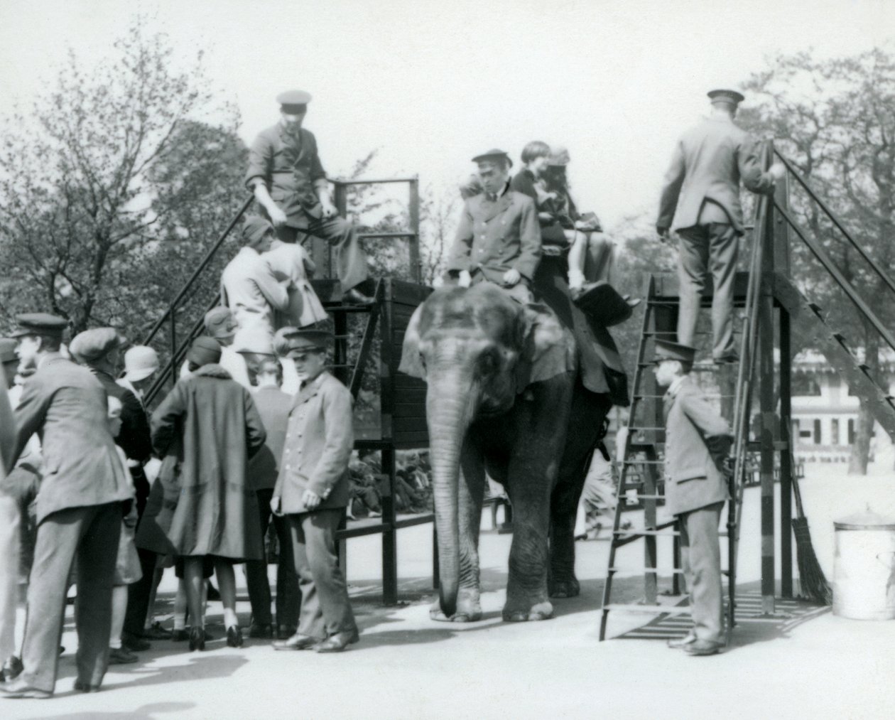 Visitatori in fila per un giro in elefante mentre altri si imbarcano, con l