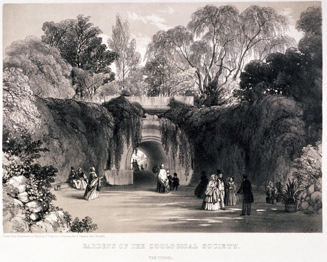 Giardini zoologici, Regent
