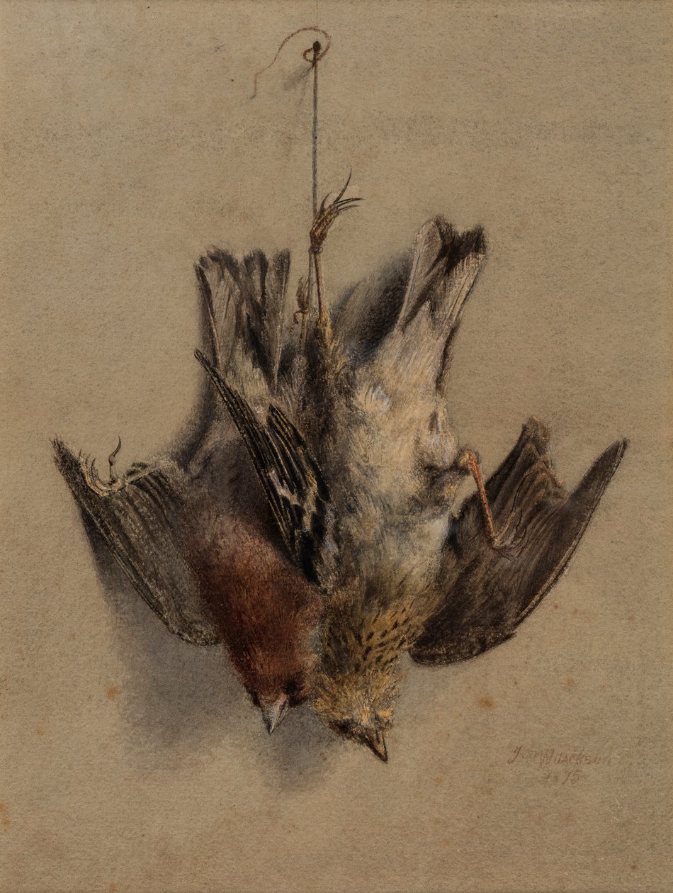 Natura morta, Allodole da Frederick William Jackson