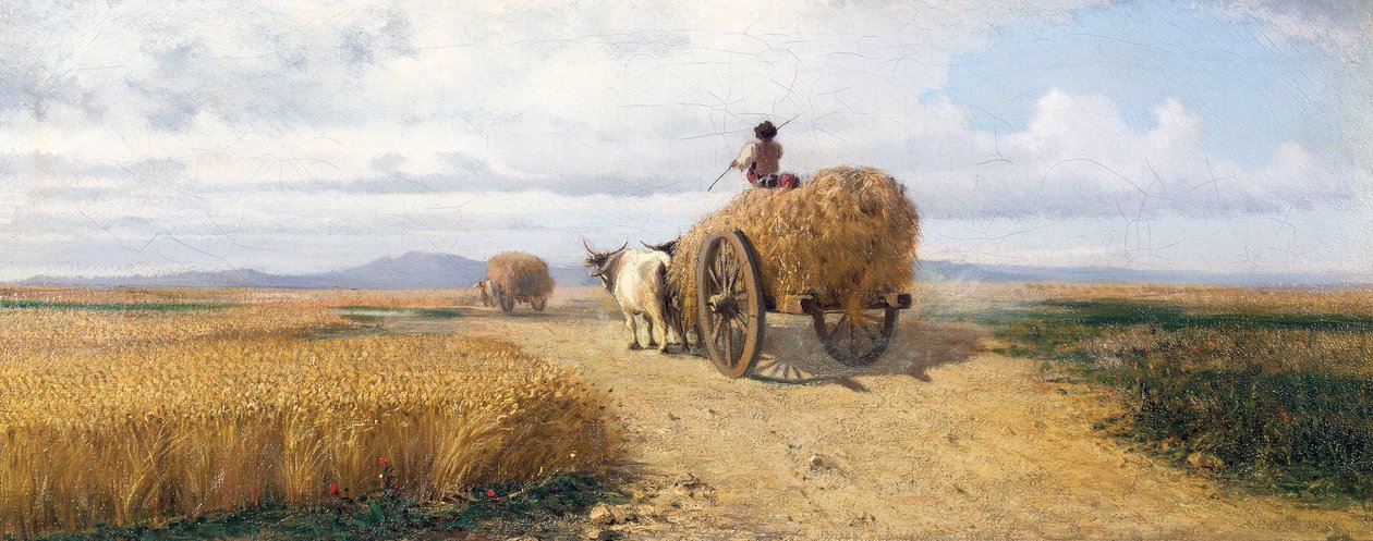 Campo di grano, circa 1868 da Frederico Rossano