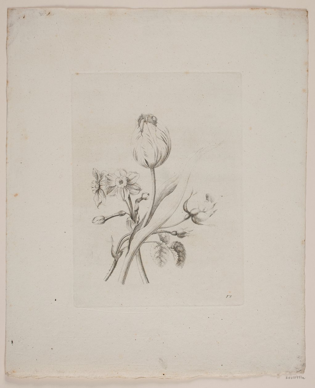 Motivo floreale da Frederik Schepelern