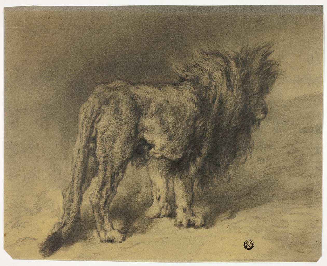 Leone in piedi con criniera arruffata da Frederik William Zurcher