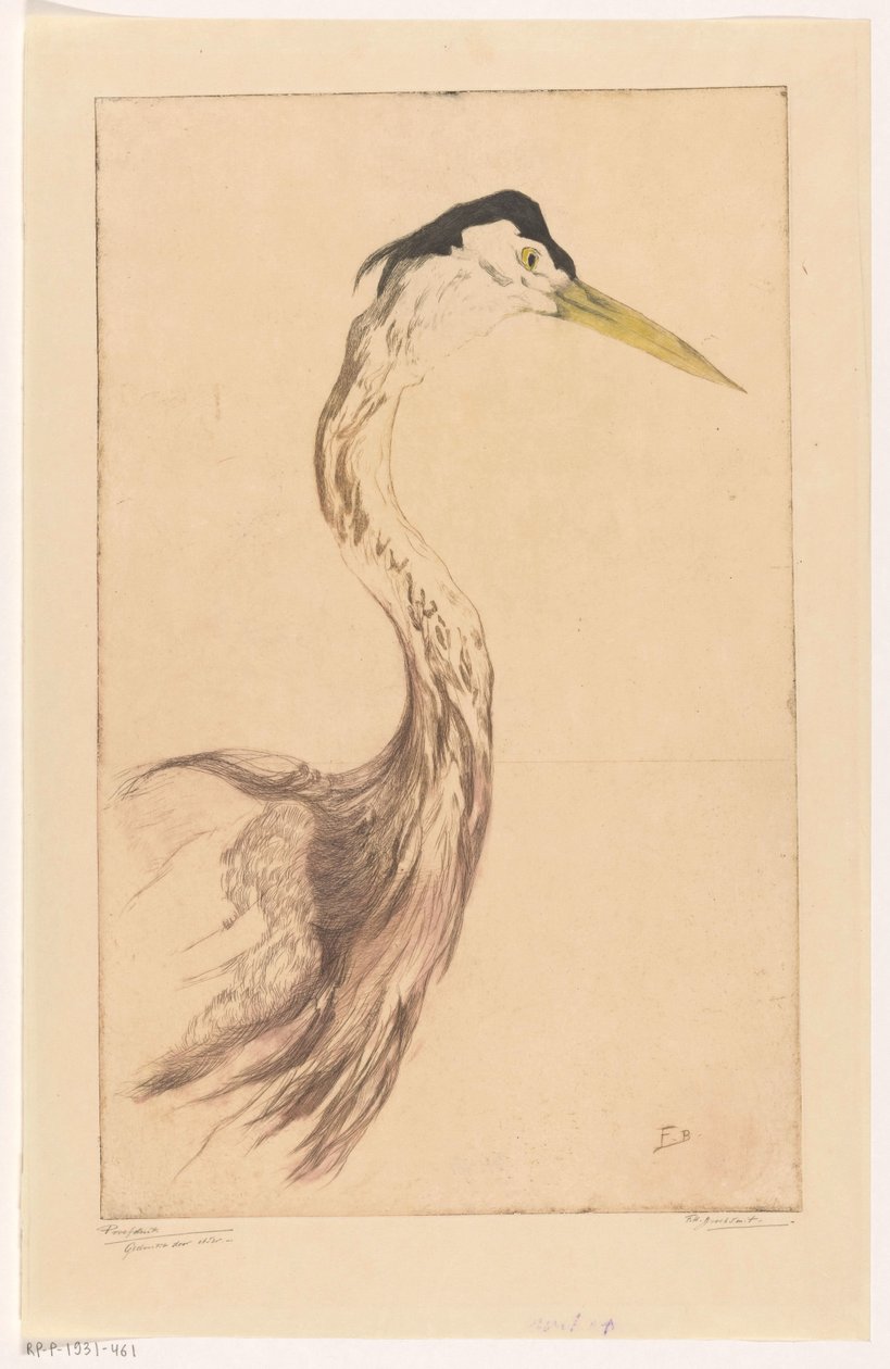 Airone da Frederika Henriëtte Broeksmit (signed by artist)