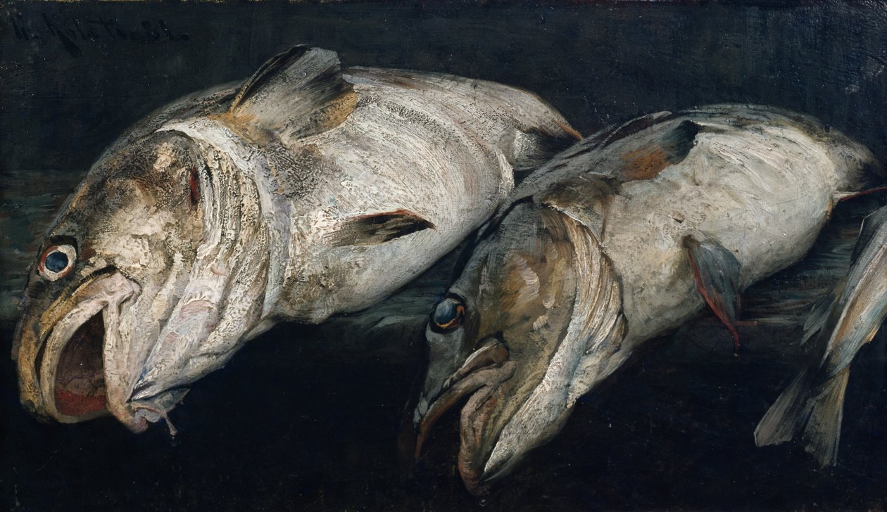 Merluzzo da Fredrik Kolstoe