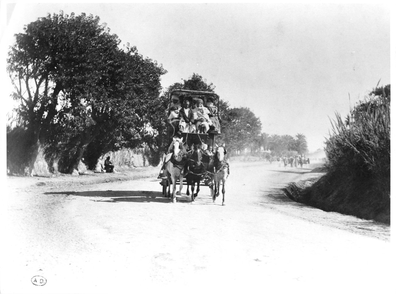 Una diligenza in Algeria, fine XIX secolo da French Photographer