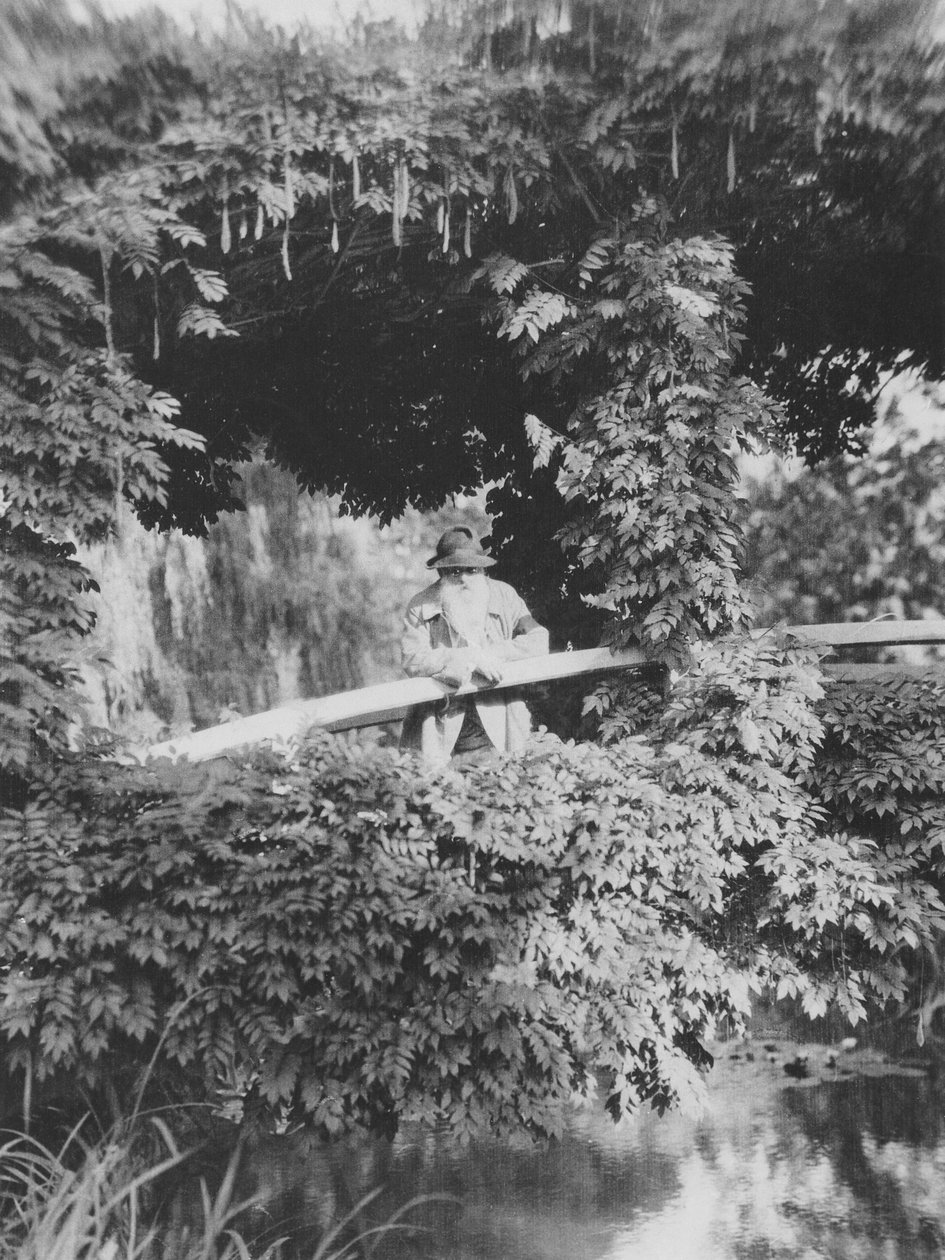 Claude Monet (1841-1926) sul Ponte Giapponese nel suo giardino a Giverny da French Photographer