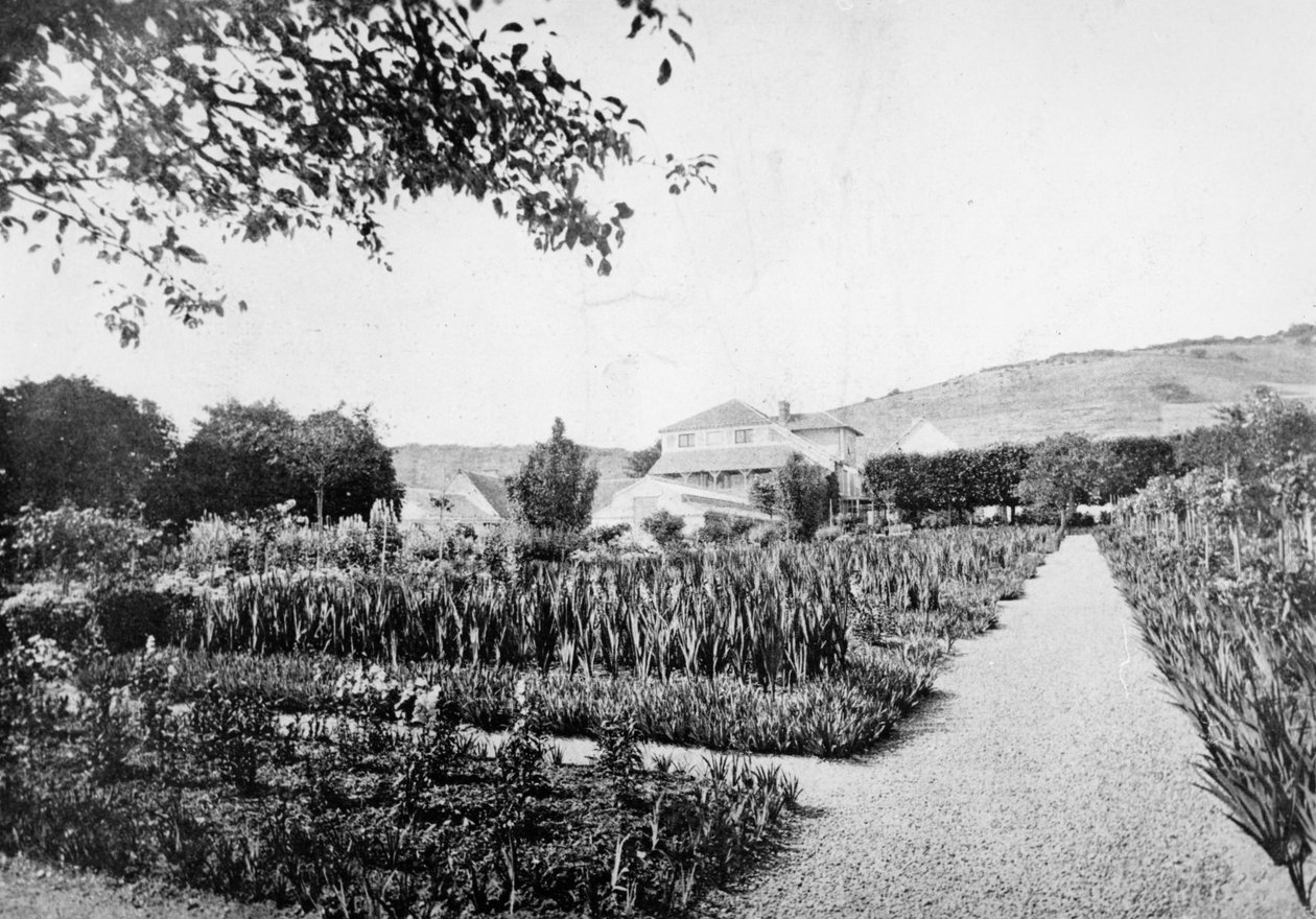Il giardino di Monet, Giverny, c.1908 da French Photographer