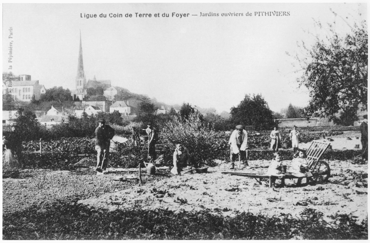 Cartolina raffigurante orti per lavoratori a Pithiviers, prima del 1914 da French Photographer