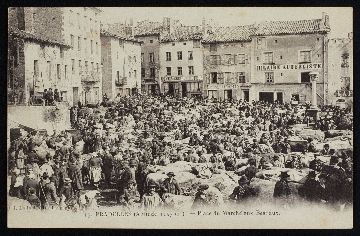 Cartolina raffigurante il mercato del bestiame a Pradelles, c.1900 da French Photographer