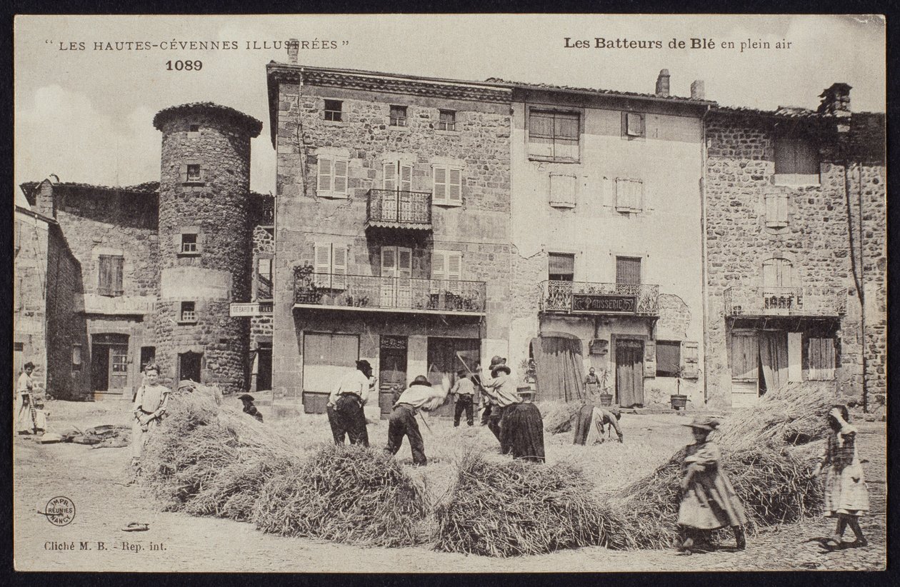 Cartolina raffigurante i trebbiatori di mais nelle Cevenne, c.1900 da French Photographer