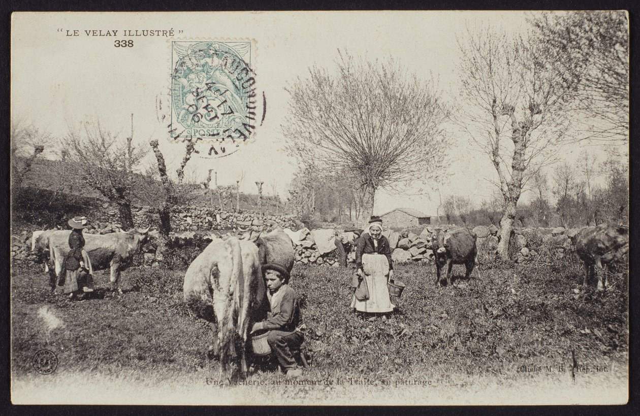 Cartolina raffigurante l